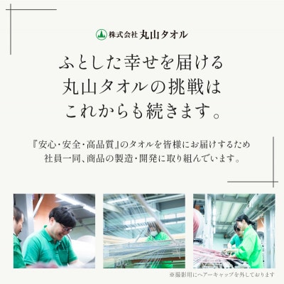 ふるさと納税限定 今治産 上質バスタオル 2枚セット(グレー)【I003520BT2GY】