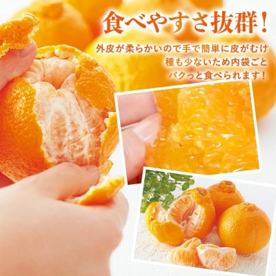 のま果樹園のデコタンゴール(2kg)[K003680K2]