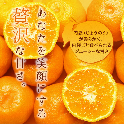【先行受付】JAおちいまばり 瀬戸の晴れ姫(はれひめ)4kg、12月～1月に発送