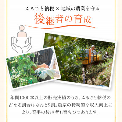 宗方印のみかんジュース 3本セット【B66】