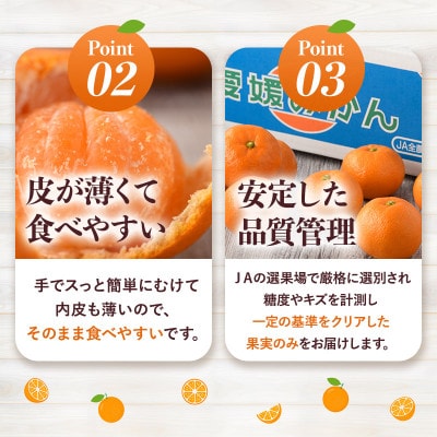 【先行予約】温州みかん 10kg L~Sサイズ　JA選果品【KC00760】