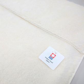 ( 今治タオル ) エアケット 【IE05460】