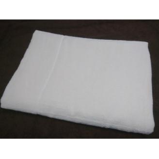 ( 今治タオル ) 裏ガーゼ タオルケット 【IE05720】