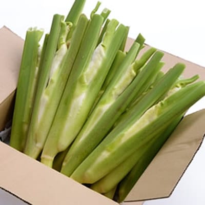 マコモタケ10本【B62】【配送不可地域：離島】