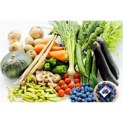 しまなみ野菜と果物セット(おまかせ)【C89】【配送不可地域：離島】