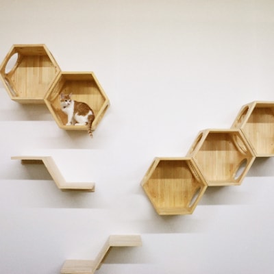 ネコロク(国産ヒノキのキャットステップ)【E-57】