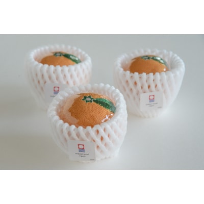 ( 今治タオル ) みかん ハンカチ 3個 セット 【IA05350】