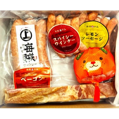 海賊さちひめAセット[V000030]【配送不可地域：離島】