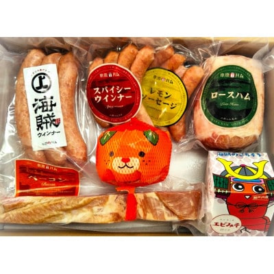 海賊大島Bセット [V000050]【配送不可地域：離島】