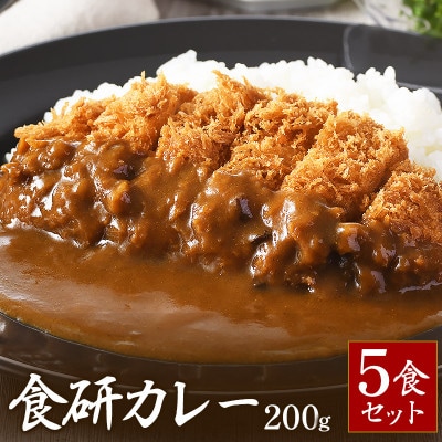 食研カレー　200g×5袋入り【VB02360SET5】