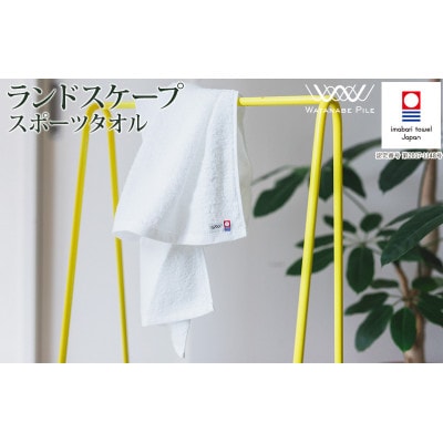 (今治タオル)ランドスケープスポーツタオル 1枚 オフホワイト【IA05210OW】