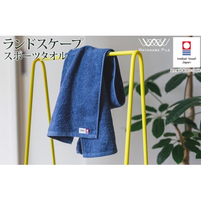 (今治タオル)ランドスケープスポーツタオル 1枚 ブルー【IA05210B】
