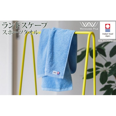 (今治タオル)ランドスケープスポーツタオル 1枚 ライトブルー【IA05210LB】