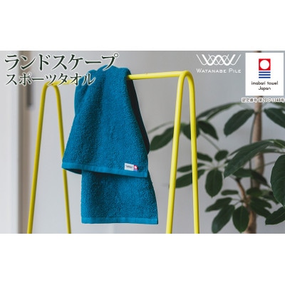 (今治タオル)ランドスケープスポーツタオル 1枚 グリーン【IA05210G】
