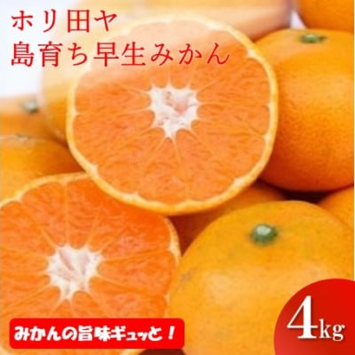 【先行予約】ホリ田ヤ 島育ち 早生みかん 4キロ【KB00940】