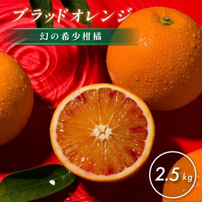 【先行予約】【数量限定】ホリ田ヤ ブラッドオレンジ 2.5kg【K002440】