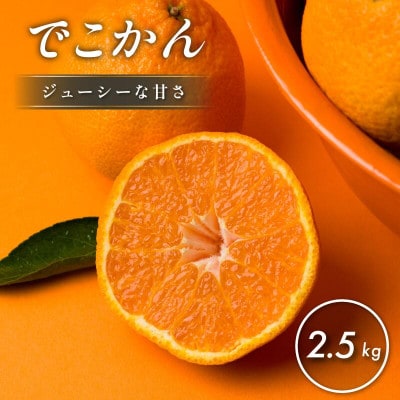 【先行予約】【数量限定】ホリ田ヤ でこかん 2.5kg【K002430】