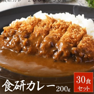食研カレー200g×30袋 【VB02360SET30】