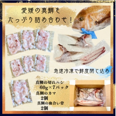 さかなやのまかない食材【愛媛の真鯛】生食用切り落とし1パック付き【V001740】【配送不可地域：離島】