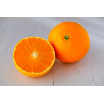 【宗方印】【数量限定】宗方のプリンセス(48号)約1.5kg(家庭用) 【K003560K1.5】