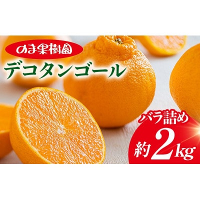 のま果樹園のデコタンゴール(2kg)[K003680K2]