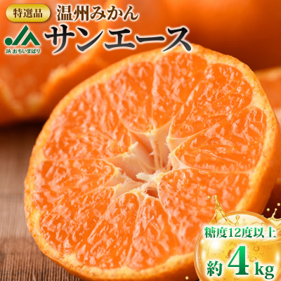 【先行受付】特選 ブランド温州みかん「サンエース」4kg 高糖度 みかん KB02210【配送不可地域：離島】