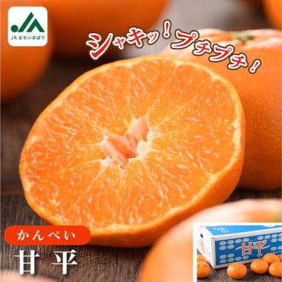 【先行予約】甘平 5kg 家庭用 高級柑橘 甘い KC00780【配送不可地域：離島】