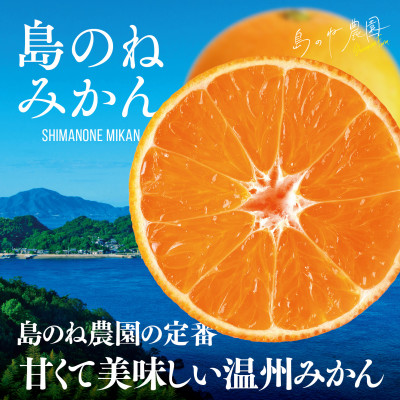 【先行受付】島のね農園 みかん5kg【KB01630】