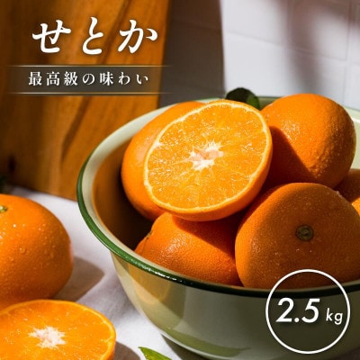 【先行予約】【数量限定】ホリ田ヤ せとか 2.5kg【K002420】