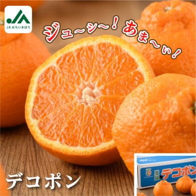 [先行予約]デコポン 3L〜L 18〜24玉 不知火 国産 柑橘