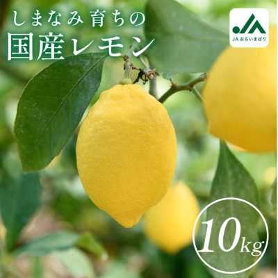 [先行受付]レモン 10kg 国産 きれい おいしい KC00790[配送不可地域:離島]