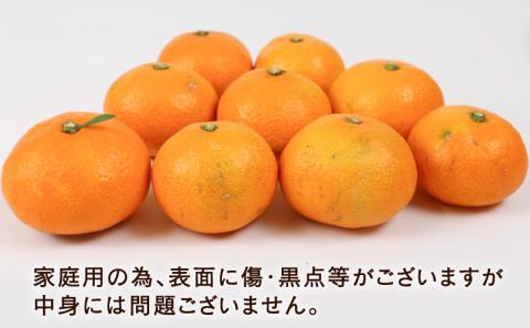 愛媛みかん 早生みかん 宮川早生 9kg 家庭用 植村農園 先行予約 温州蜜柑 温州みかん mikan 愛媛ミカン 愛媛蜜柑 愛媛みかん 温州 早生温州 早生 蜜柑 果物 くだもの フルーツ 柑橘 農家直送 産地直送 数量限定 国産 愛媛 愛媛産 宇和島 B010-153003