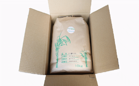 新米 先行予約 精米 清流 れんげ米 にこまる 10kg かわたのお米屋さん 11月以降発送 米 kome おこめ 白米 ごはん お弁当 おにぎり ブランド米 ふっくら ツヤツヤ 甘い 粘り 美味しい ライス 農家直送 産地直送 数量限定 国産 愛媛 宇和島 G020-134003