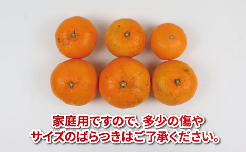 愛媛 みかん 7.5kg 家庭用 平石農園 温州 温州みかん 蜜柑 果物 フルーツ 柑橘 産地直送 農家直送 数量限定 国産 宇和島 B010-017008