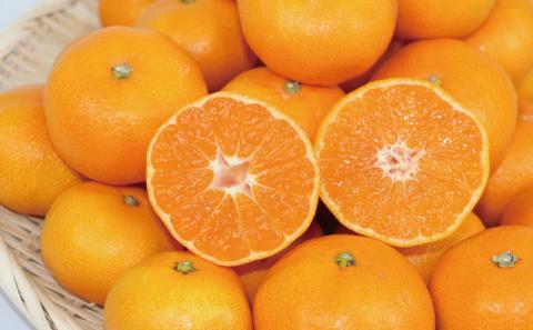 愛媛 みかん 早生温州 家庭用 7kg 大小混合 南四国ファーム B010-035001