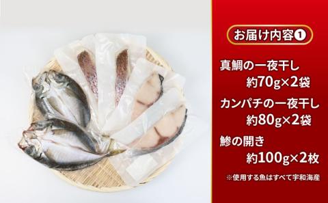 干物 セット 一夜干し よくばりセット  真鯛 カンパチ アジの開き 詰め合わせ こもねっと バジル トマト 麦味噌 藻塩? 漬け 冷凍 鯛 マダイ タイ 鯵 魚 惣菜 お惣菜 おかず 簡単調理 冷凍食品 冷凍 産地直送 国産 愛媛 宇和島 D025-008005