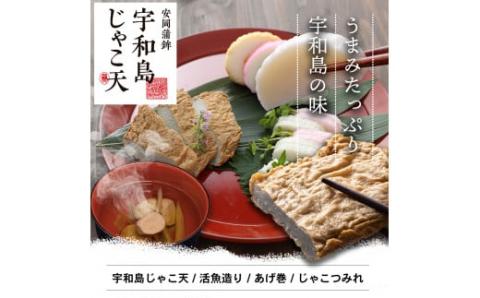 【郷土料理】  練り物 セット じゃこ天 かまぼこ 詰め合わせ B 4種 安岡蒲鉾店 蒲鉾 おつまみ C018-020002