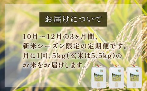 新米 特別栽培米 米 定期便 3回 計 15kg コシヒカリ 5kg × 3 高秋農園 先行予約 令和7年度産 特別栽培 玄米 ごはん ご飯 お弁当 おにぎり ブランド米 ふっくら ツヤツヤ 甘い 三間米 こめ 粘り 国産 愛媛 宇和島 G036-149003