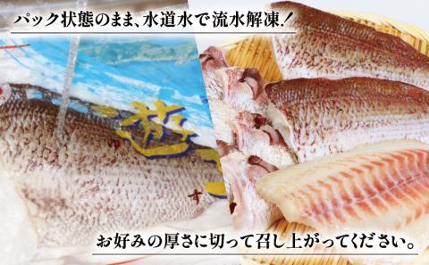 【愛媛県宇和島市産】真鯛 セット 計 1.5kg 愛媛県漁業協同組合遊子支所 マダイ たい tai 魚 刺身 D012-022004