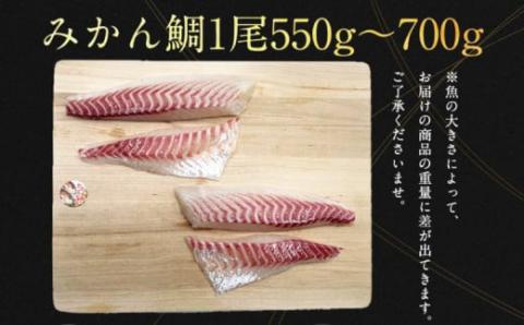 【お刺身におすすめ】 みかん 鯛 550 〜 700g 1尾 4節 宇和島プロジェクト マダイ たい 柵 養殖 D022-071004
