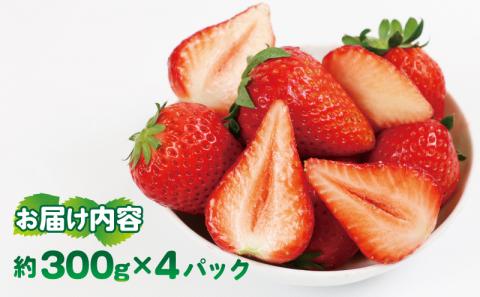 色鮮やか いちご 紅い雫 1.2kg ( 300g × 4パック ) 西田農園 甘い あまい 苺 イチゴ ストロベリー 旬 果物 朝食 ヨーグルト フルーツ デザート スイーツ スムージー ジャム おやつ 国産 愛媛 宇和島 F015-124002