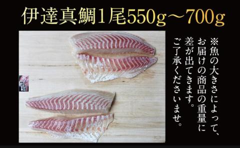 タイ 真鯛 伊達真鯛 550g ~ 700g 1尾 刺身 柵 4節 宇和島プロジェクト 鯛 マダイ お刺身 お刺し身 刺し身 真空パック フィーレ お手軽 海鮮丼 海鮮 鯛めし 鯛茶漬け お茶漬け 鯛しゃぶ 塩焼き 煮付け 魚 産地直送 愛媛県産 国産 愛媛 宇和島 D022-071005