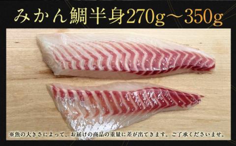 【数量限定】 みかん 真鯛 270g ~ 350g 半身 刺身 柵 2節 宇和島プロジェクト たい tai 刺身 魚 D012-071001