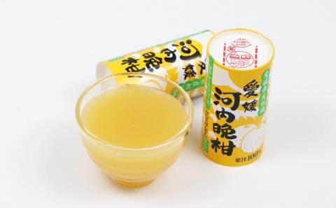 【100%ジュース】みかん 河内晩柑 125ml ×30本 愛工房 ストレートジュース 紙パック mikan 蜜柑 新鮮 国産 愛媛 宇和島 H020-034004