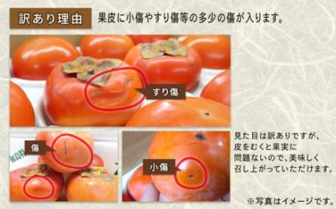 訳あり 次郎柿 15～16個 L・2L 5kg 末光農園 柿 かき フルーツ 果物 国産 愛媛  宇和島 F012-118001