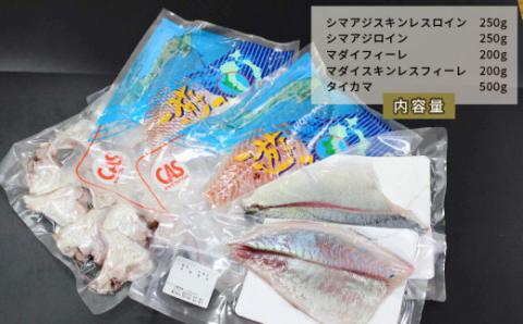 シマアジ 真鯛 タイカマ 詰合せ セット 愛媛県漁業協同組合遊子支所 遊子 縞鯵 鯛 タイ マダイ フィーレ ブロック 加工 刺身 お刺身 刺し身 お刺し身 海鮮 海の幸 魚 魚介 しゃぶしゃぶ たたき アレンジ 冷凍 産地直送 数量限定 国産 愛媛 宇和島 D024-022002