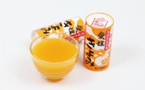 みかんジュース 愛媛 きよみ ジュース 125ml ×30本 愛工房 フルーツ ジュース 100％ジュース ストレートジュース みかん mikan 蜜柑 果汁100％ 紙パック 飲料 柑橘 長期保存 備蓄 防災 スイーツ 果物 くだもの 産地直送 国産 宇和島 H020-034001