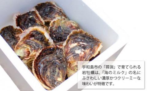 岩牡蠣 牡蠣 7個 250g ～ 300g 牡蠣ナイフ 手袋 付き 愛媛県漁業協同組合 殻付き かき オイスター 岩ガキ カキ 生牡蠣 生カキ 生食 焼き牡蠣 焼きガキ 牡蠣鍋 バーベキュー BBQ 海鮮 海産物 鍋 おすすめ 貝 旬 数量限定 国産 愛媛 宇和島 D012-094001