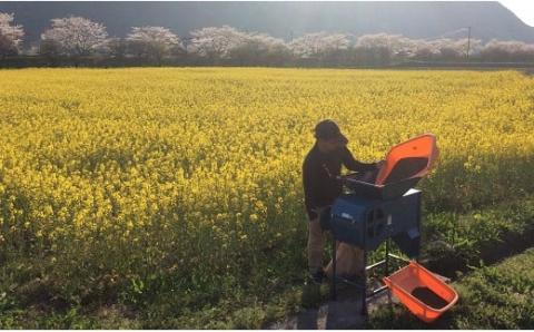 えごま油 生搾り 65g ×2本 手作り オイル 御槇米生産協議会 自家製 ごま油 えごま 100％ ピュアオイル オメガ3 油 調味料 調理油 加工品 数量限定 国産 愛媛 宇和島 J012-018004