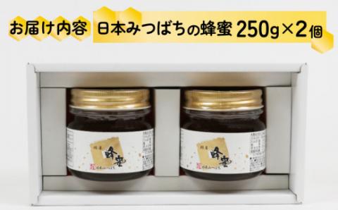 日本みつばち の 蜜 2個 セット 非加熱 宇和島農産 無添加 国産